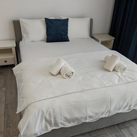 Alina'S Deluxe Apartment And Free Private Parking Dumbravita  エクステリア 写真