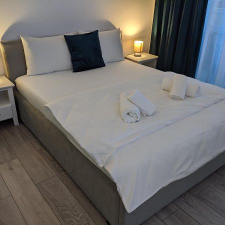 Alina'S Deluxe Apartment And Free Private Parking Dumbravita  エクステリア 写真