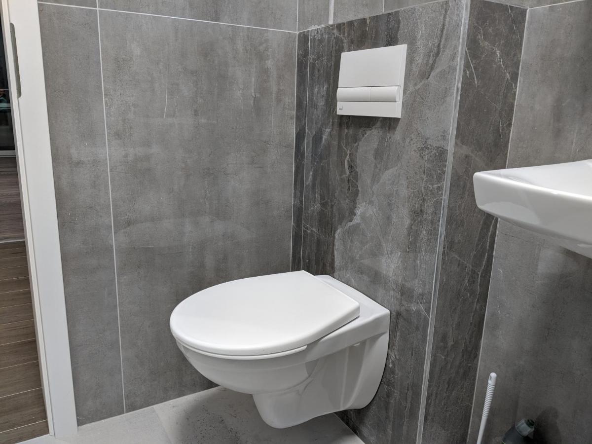 Alina'S Deluxe Apartment And Free Private Parking Dumbravita  エクステリア 写真