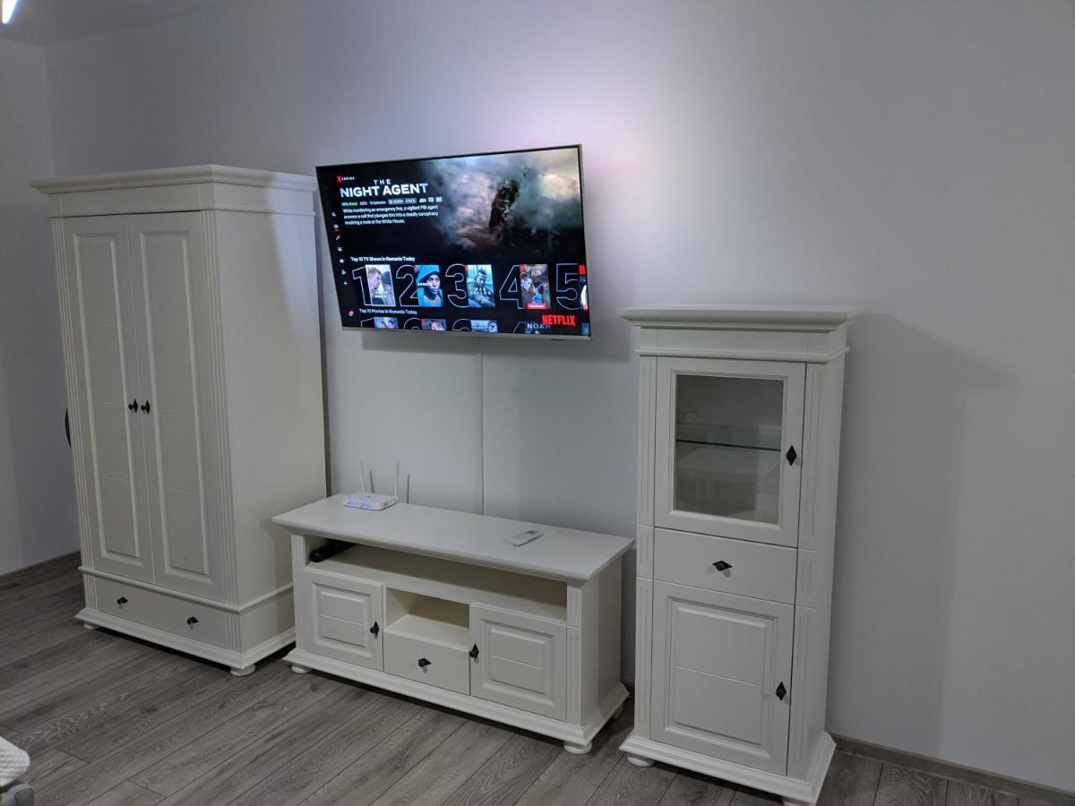 Alina'S Deluxe Apartment And Free Private Parking Dumbravita  エクステリア 写真