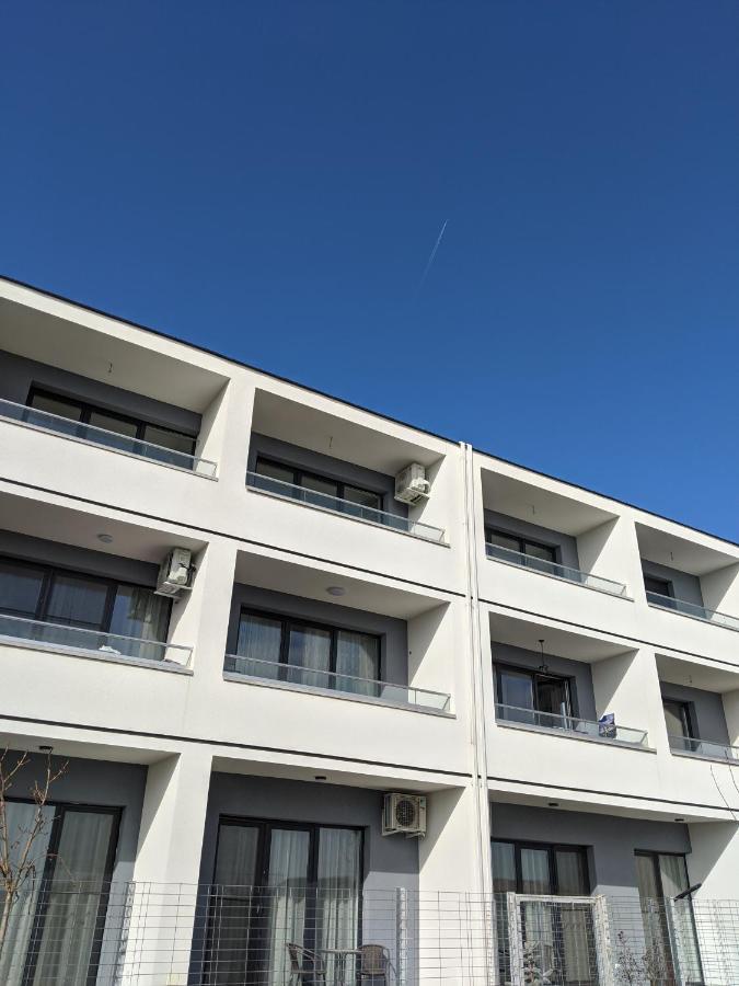 Alina'S Deluxe Apartment And Free Private Parking Dumbravita  エクステリア 写真