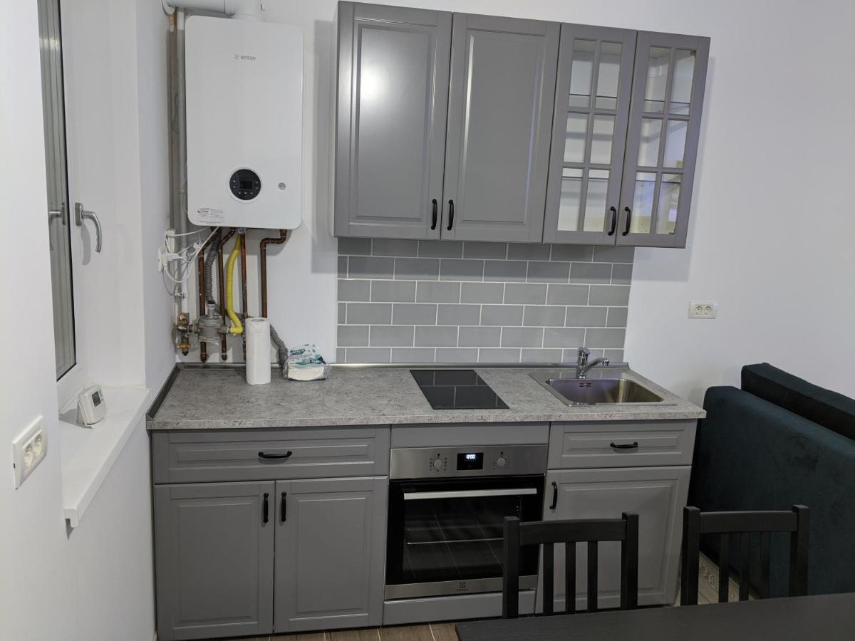 Alina'S Deluxe Apartment And Free Private Parking Dumbravita  エクステリア 写真
