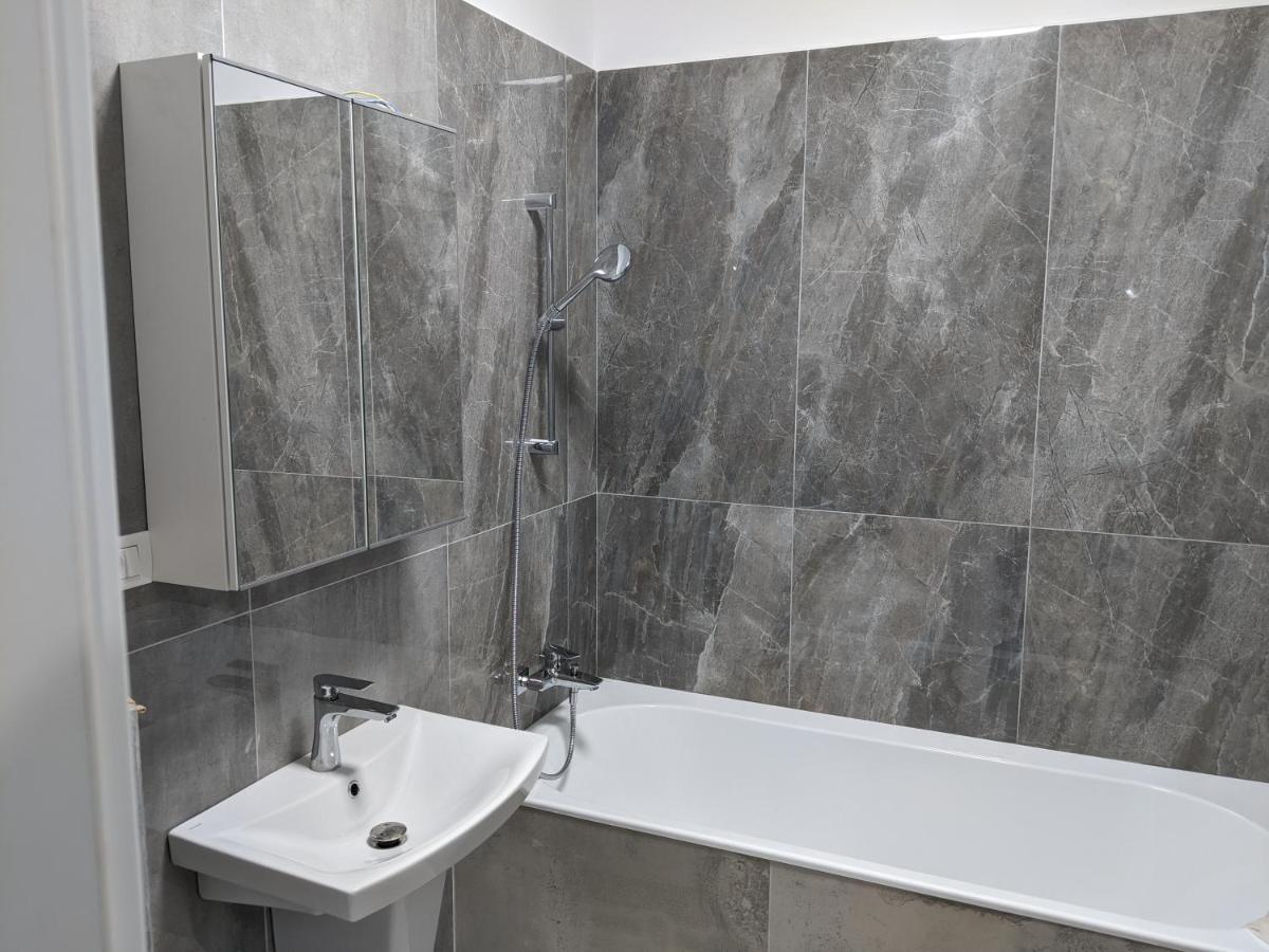 Alina'S Deluxe Apartment And Free Private Parking Dumbravita  エクステリア 写真