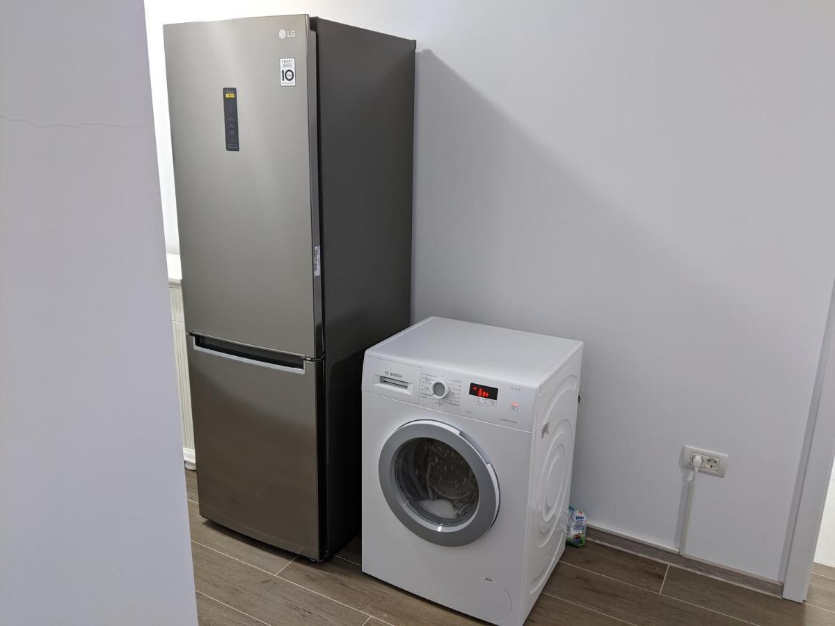 Alina'S Deluxe Apartment And Free Private Parking Dumbravita  エクステリア 写真