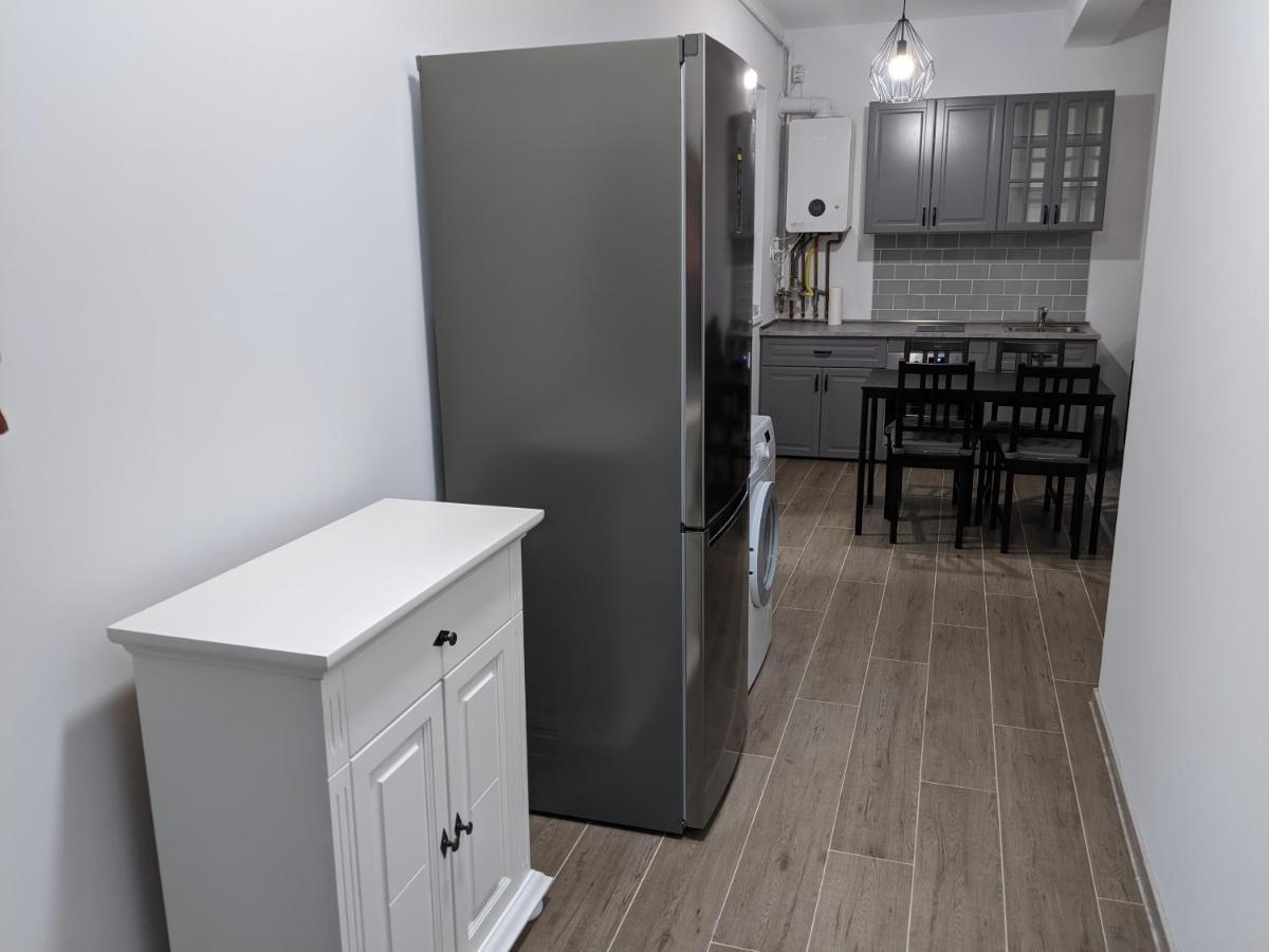 Alina'S Deluxe Apartment And Free Private Parking Dumbravita  エクステリア 写真
