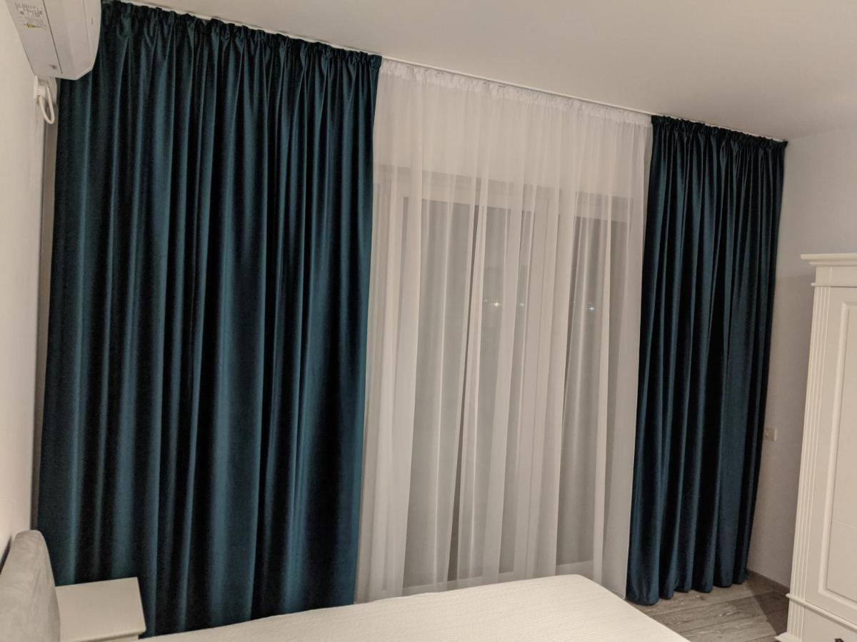 Alina'S Deluxe Apartment And Free Private Parking Dumbravita  エクステリア 写真