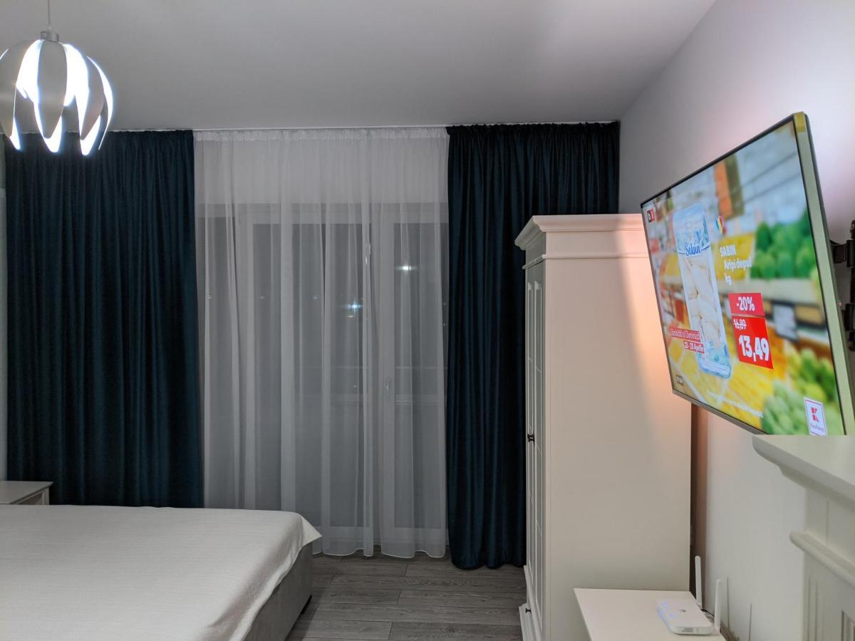 Alina'S Deluxe Apartment And Free Private Parking Dumbravita  エクステリア 写真