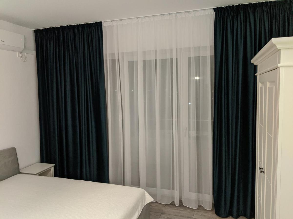 Alina'S Deluxe Apartment And Free Private Parking Dumbravita  エクステリア 写真