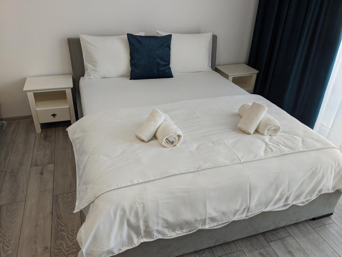 Alina'S Deluxe Apartment And Free Private Parking Dumbravita  エクステリア 写真