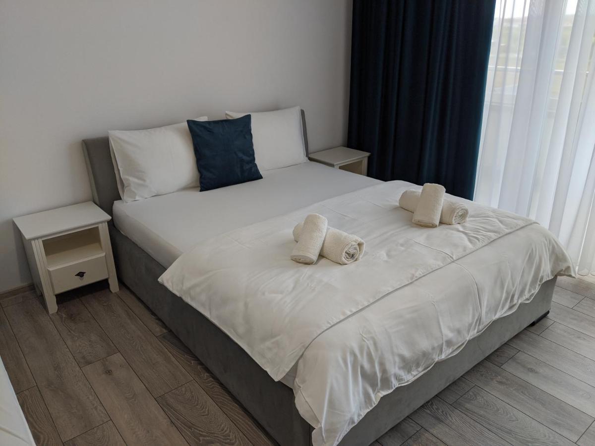 Alina'S Deluxe Apartment And Free Private Parking Dumbravita  エクステリア 写真