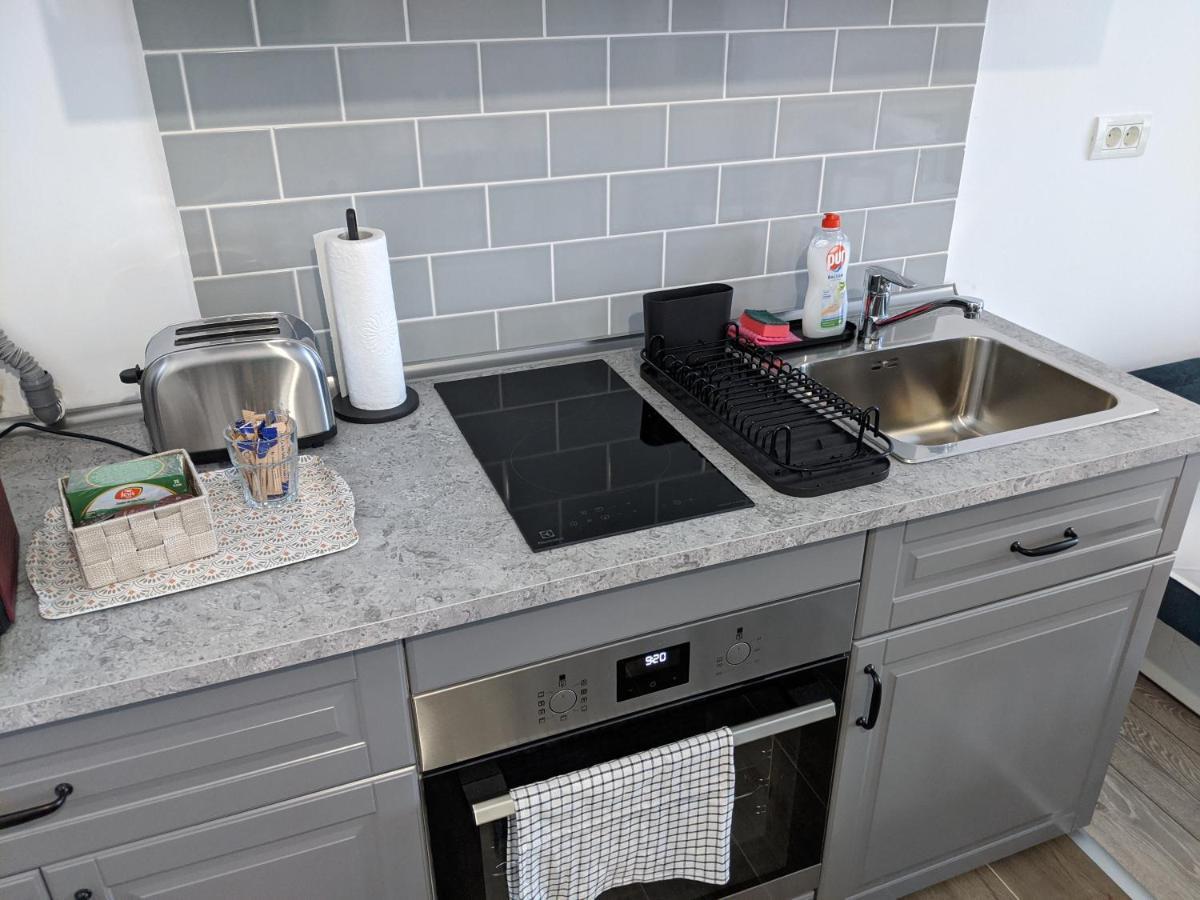 Alina'S Deluxe Apartment And Free Private Parking Dumbravita  エクステリア 写真