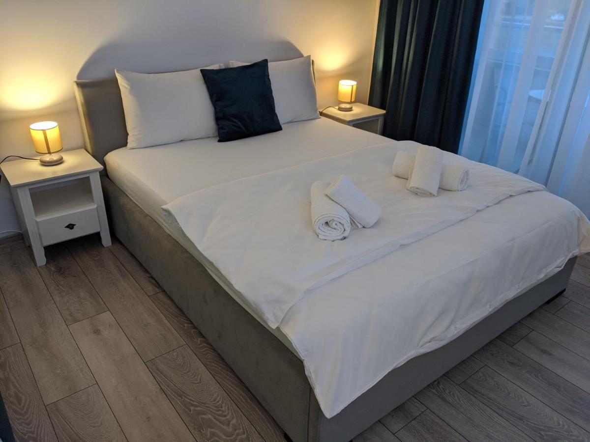 Alina'S Deluxe Apartment And Free Private Parking Dumbravita  エクステリア 写真