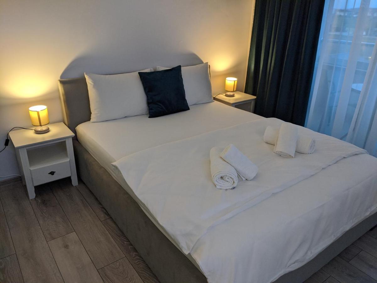 Alina'S Deluxe Apartment And Free Private Parking Dumbravita  エクステリア 写真
